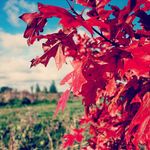 Sue Garner - @sue.garner7 - Instagram