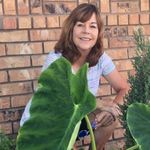 Sue Gentry - @comsue.gentr - Instagram