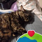 Sue Gentry - @suegentry62 - Instagram
