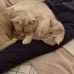 Sue Gould - Facebook