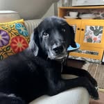 Sue Getman - @srgetman - Instagram