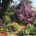 Sue Troup Getman - Facebook