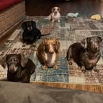 Carol Sue Geyer - @carolford54 - Instagram