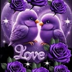 Sue Gill - Facebook