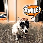 Sue Gill - @suegill_art - Instagram