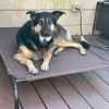 Sue Gill - @sue.gill5 - TikTok
