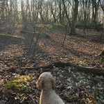 Sue Gill - @sue_gill - Instagram