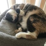 Sue Cyr Gilman - @sue_gilman - Instagram