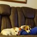 Sue Gilman - Facebook
