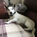 Sue Glover - @sue.glover.526 - Instagram