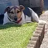 Sue Glover - @sue.glover6 - TikTok