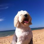 Sue Goode - @sue2254 - Instagram