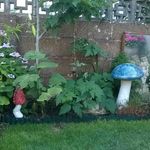 Sue Goode - @sue.goode.7547 - Instagram