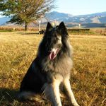 Sue Goode - @sue.goode.57 - Instagram