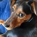 Sue Goodwin - Facebook