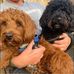 Sue Goodwin - Facebook