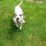 Sue Goodwin - @sue.goodwin.hays - Instagram