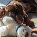 Sue Goodwin - @sue.goodwin.7359 - Instagram