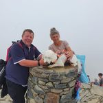 Sue Goodwin - @sue.goodwin.16906 - Instagram