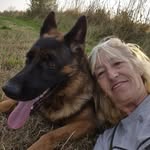 Sue Goodwin - @sue35764 - Instagram