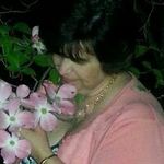 Karen Griswold - @ksuegriswold - Instagram