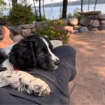Sue Griswold - @sue.griswold.71 - Instagram
