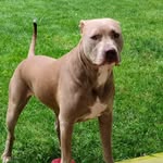 Sue Griswold Reveron - @suereveron - Instagram