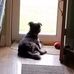 Sue Gustafson - Facebook