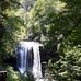 Sue Gustafson - Facebook
