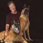 Sue Haase - @sue.haase.7 - Instagram