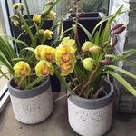 Sue Haase - @sue.haase - Instagram
