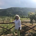 Sue Haase - @nanasue804to619 - Instagram