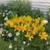 Sue Haase - Facebook