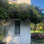 Sue Haddad - @haddadsue - Instagram