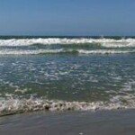 Sue Haddad Leitzel - @sueleitzel - Instagram