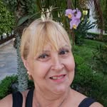 Sueli Haddad - @sueli_haddad - Instagram
