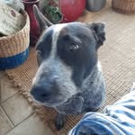 sue hagan - @hagan1135 - Instagram