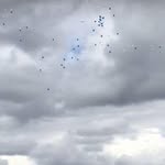 Sue O Hagan - @ohagansue - Instagram