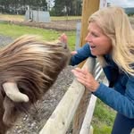 Sue Hardesty - @mauisue - Instagram