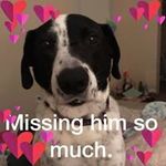 Tammy Sue Hardesty - @thardesty2911 - Instagram