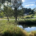 Sue Harding - @sue.harding.77715 - Instagram