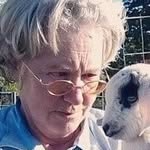 Sue Harding - @sue.harding12415 - Instagram