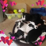 Sue Harding - Facebook