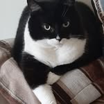 Sue Harding - @sueharding779 - Instagram