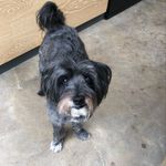 Sue Harley-Mills - @sueharleymills - Instagram