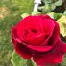 Susan Harley - Facebook