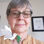 Sue Harrington - @sueharrington8522 - Instagram