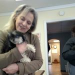 Sue Harrington - @sue.harrington.750546 - Instagram