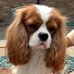 Sue Hawes - Facebook