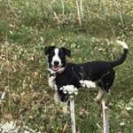 Sue Hawes - @coste.roche - Instagram